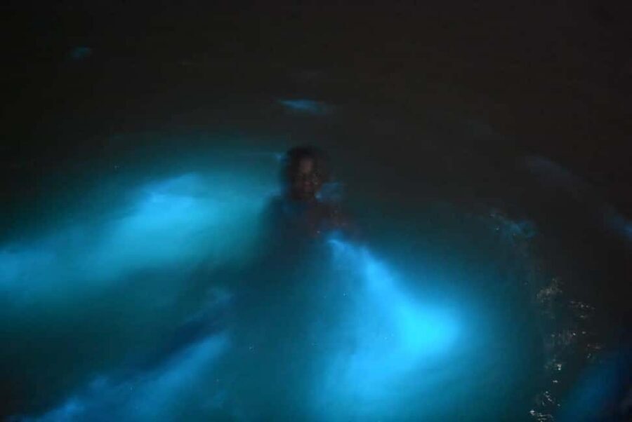 From Montego Bay: Luminous Lagoon Night Tour - Key highlights to know before you go