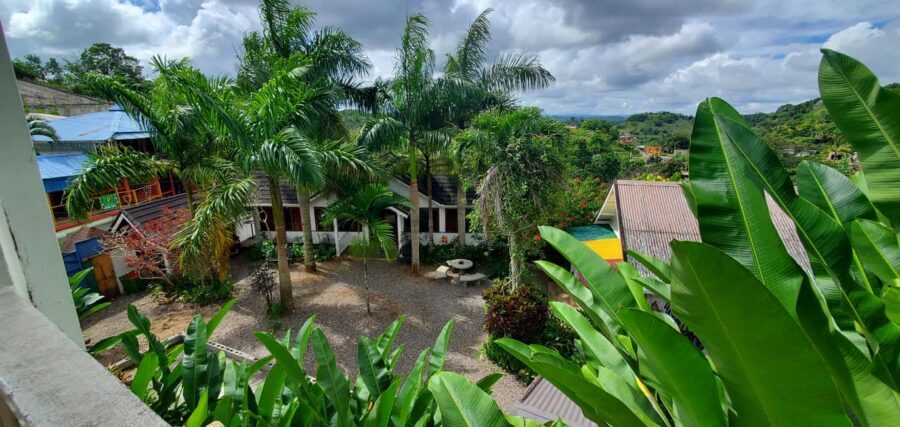 From Montego Bay: The Bob Marley Guided Tour of Nine Mile - What the Full 5-Hour Day Feels Like (And How to Prepare)