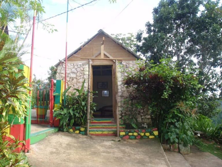 From Montego Bay: The Bob Marley Guided Tour of Nine Mile - The Ride in the Air-Conditioned Van: Comfort Plus Context