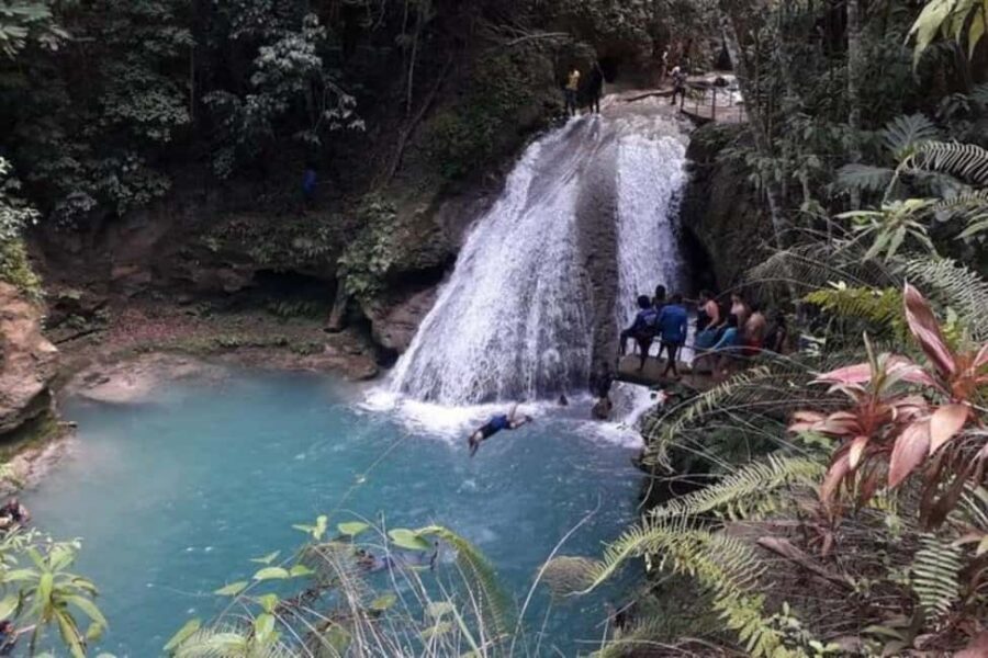 From Ocho Rios: Blue Hole & Dunn's River Falls Tour - Dunn’s River Falls: the classic 600-foot climb with guides keeping you moving