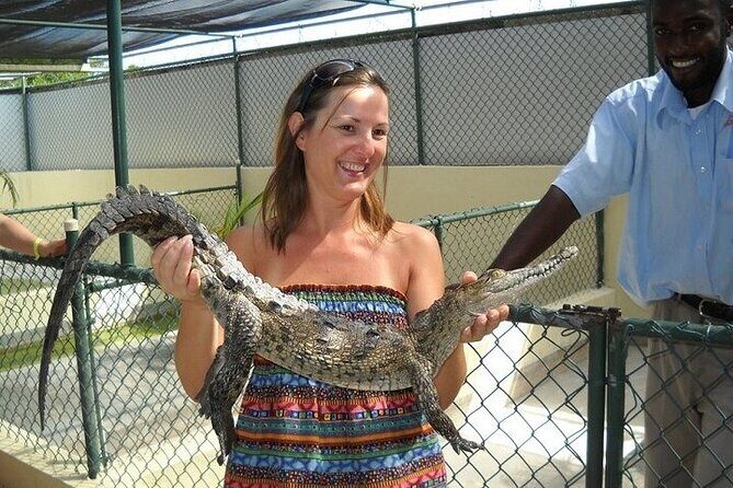 Full-Day South Coast - YS Falls, Pelican Bar & Black River Safari - A one-day route that makes sense on Jamaica time