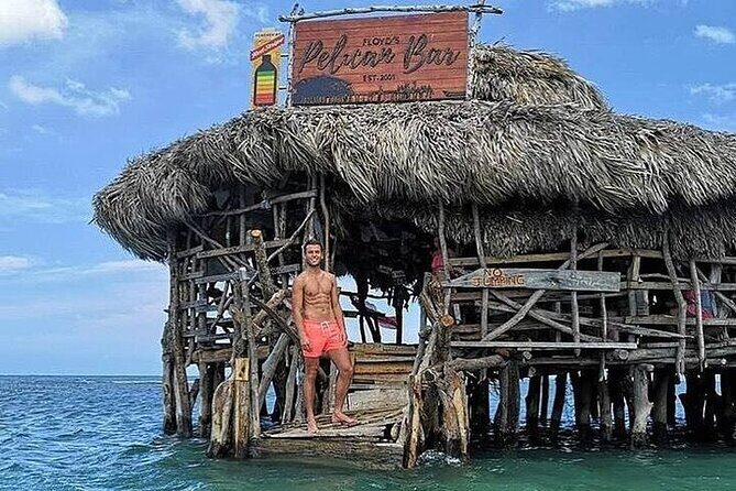 Full-Day South Coast - YS Falls, Pelican Bar & Black River Safari - Black River Safari Company cruise: mangroves, birds, and alligators