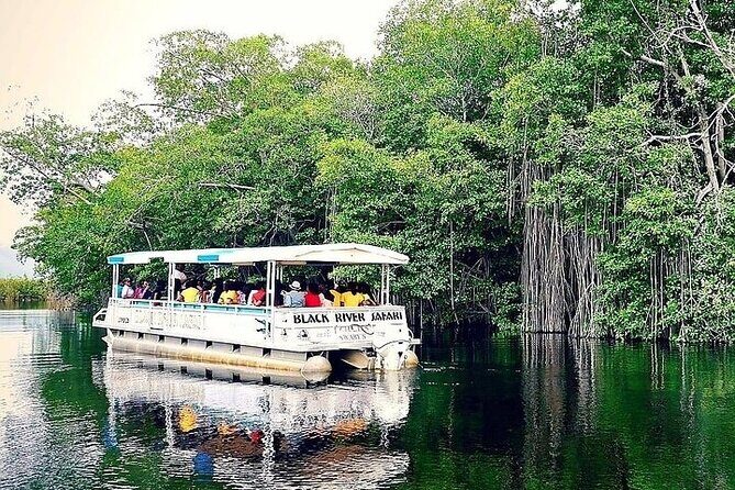 Full-Day South Coast - YS Falls, Pelican Bar & Black River Safari - YS Falls: seven-tier waterfalls and spring-fed swimming time