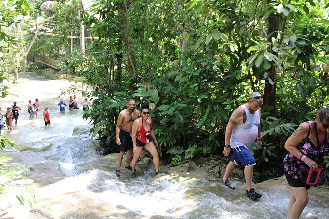 Full-Day Tour of Blue Hole and Dunn's River Falls, Including Fees - Who Should Book This (and Who Should Think Twice)