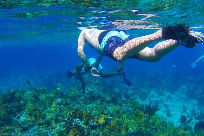 Glass Bottom Boat Ride/Snorkeling/Booby Cay Island from Negril - Key things I’d notice before you go