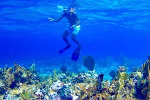 Glass Bottom Boat Ride/Snorkeling/Booby Cay Island from Negril - Glass-bottom expectations: what’s advertised vs what you may see