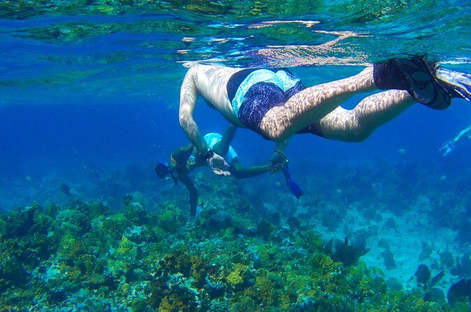 Glass Bottom Boat Ride/Snorkeling/Booby Cay Island from Negril - The reef snorkeling stop: 1 hour, guided swim spots, gear handled