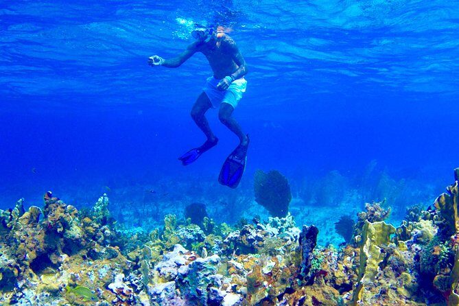 Glass Bottom Boat Ride/Snorkeling/Booby Cay Island from Negril - Glass-bottom expectations: what’s advertised vs what you may see