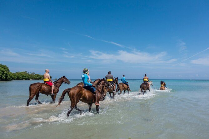 Horseback Ride ATV and Bamboo Rafting Tour Ocho Rios in Jamaica - Price and Value: What Your $90.91 Usually Covers (and What Might Cost Extra)