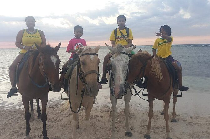 Horseback Riding and Swim Experience - Meeting Your Horse and Guide Team: Comfort Without the Chaos