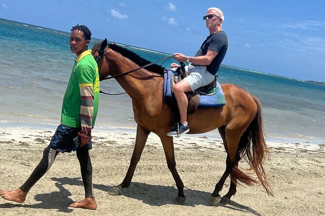 Horseback riding & bluehole secret falls from Montego Bay - Key highlights from this Montego Bay to Ocho Rios day