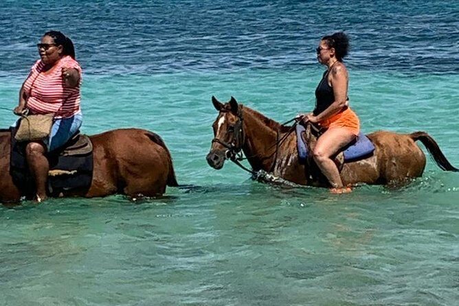 Hour Horseback Riding Guided Tour from Runaway Bay - Why This 1-Hour Horse Ride From Runaway Bay Feels So Personal
