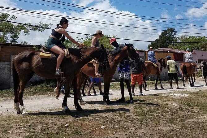 Hour Horseback Riding Guided Tour from Runaway Bay - Riding Through the Water: Ocean Time and River Swim Options