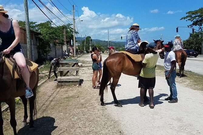 Hour Horseback Riding Guided Tour from Runaway Bay - What to Bring, Wear, and Know Before You Mount Up