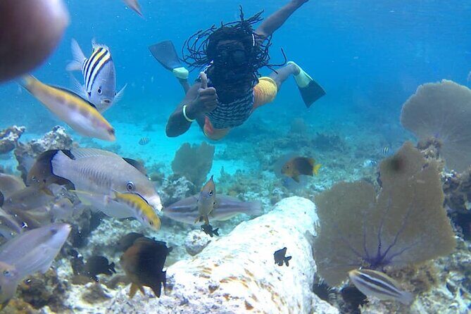 Incredible Negril Guided Snorkeling To Reef, Anchor, and Cannon - Seven Mile Beach to Reef: How the Trip Starts