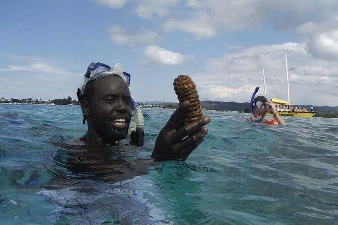 Incredible Negril Guided Snorkeling To Reef, Anchor, and Cannon - Who Should Book This Negril Snorkeling Trip?
