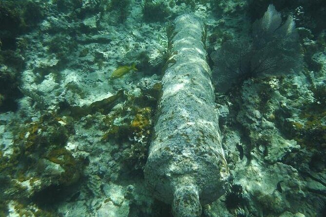 Incredible Negril Guided Snorkeling To Reef, Anchor, and Cannon - FAQ