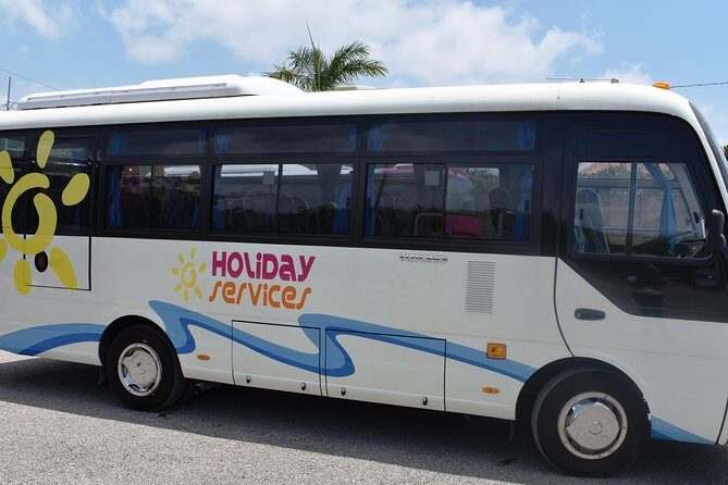 Jamaica Combo Tour: Dunn's River Falls and Bob Marley’s Nine Mile - Mystic Lagoon add-on: Luminous Lagoon night boat plus Joe James dinner