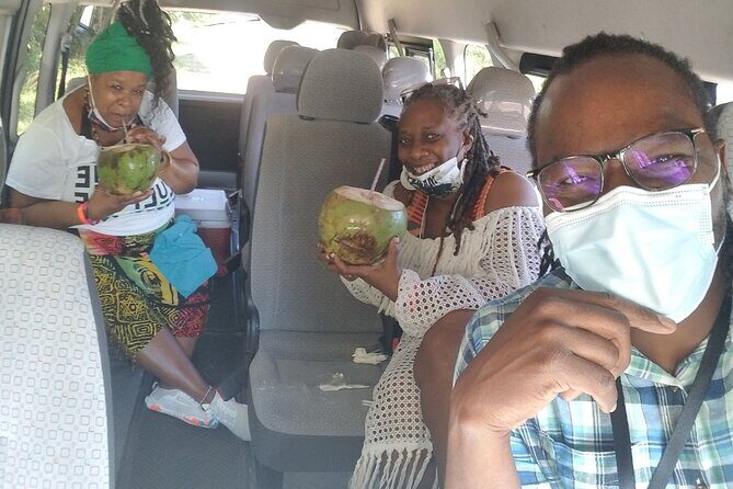 Jamaica Foodie and Cultural Experience & Konoko Falls Ocho Rios - Guides and group vibe: what the human side feels like