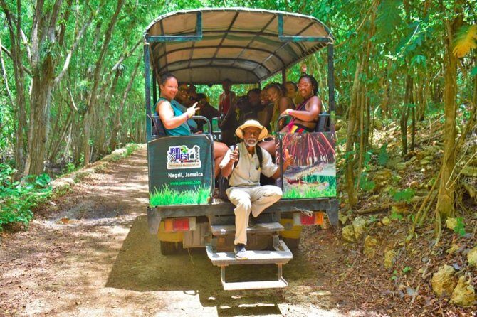 Jamwest Negril Zipline and JamCulture Combo - The zipline run: 60-foot tower, 2,450 feet of flying