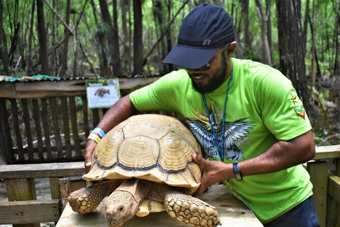 Jamwest Off-Road ATV Adventure & JamCulture Tour Combo in Negril - Rain Forest Areas and Grassland Passages
