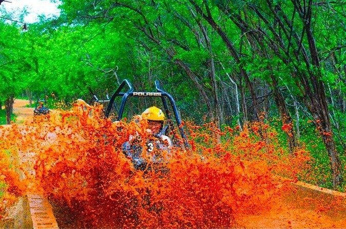 Jamwest Off-Road ATV Adventure & JamCulture Tour Combo in Negril - Price and Value: What $169 Buys You in Negril