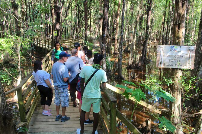Jamwest Off-Road ATV Adventure & JamCulture Tour Combo in Negril - Wetlands and Mangroves: The Soft-Edge Start