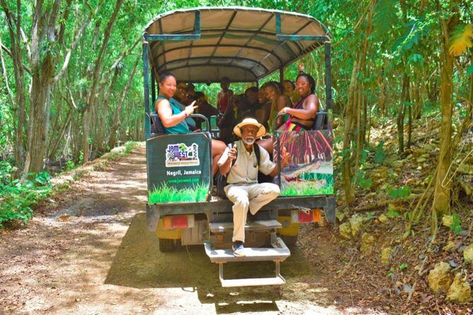 Jamwest: Zipline, Cultural Ride, and ATV Off-Road Adventure - Reggae Zip-Line Challenge: 60ft up, 2000ft fast, surprise at the end