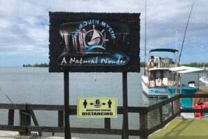 Luminous lagoon Dark night Tour from Ocho Rios and Runaway Bay Hotels - Getting to Falmouth from Ocho Rios and Runaway Bay is the easy part