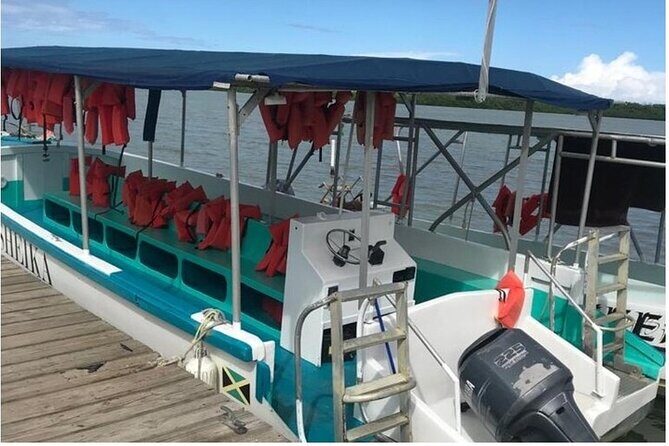 Luminous lagoon Dark night Tour from Ocho Rios and Runaway Bay Hotels - The boat ride: safety-first, humor-forward, and photo-influencing rules