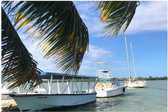 Luminous lagoon Dark night Tour from Ocho Rios and Runaway Bay Hotels - Photography reality: waterproof your phone, but don’t expect magic
