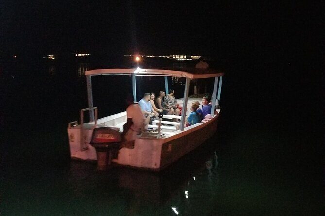 Luminous Lagoon Night Tour from Montego Bay - Choosing the right lagoon spot: avoid the location confusion