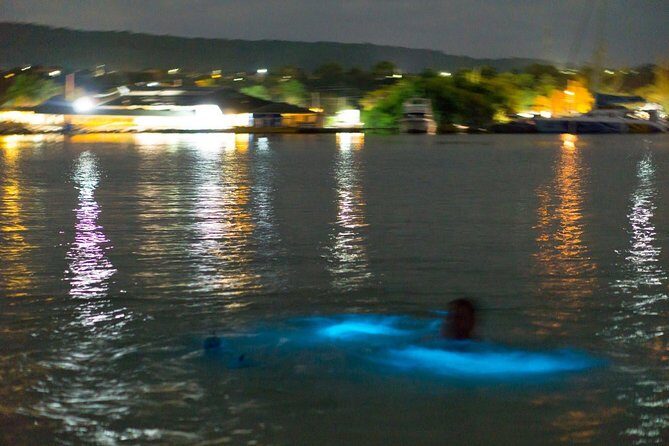 Luminous Lagoon Sightseeing Tour in Montego Bay - Key things I’d watch for before you go