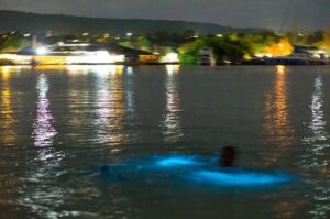 Luminous Lagoon Sightseeing Tour in Montego Bay - Price and logistics: $40 tour vs. $20 lagoon boat ride