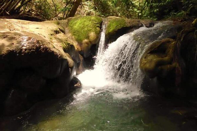 Mayfield Falls nature walk - Key highlights at a glance