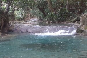 Mayfield Falls nature walk - Mayfield Falls & Mineral Springs Original: river time done right