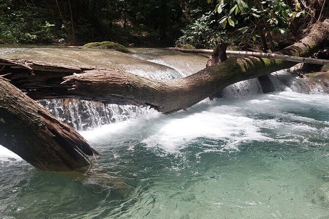 Mayfield Falls nature walk - Price and logistics: what $150 buys you (and what it doesn’t)