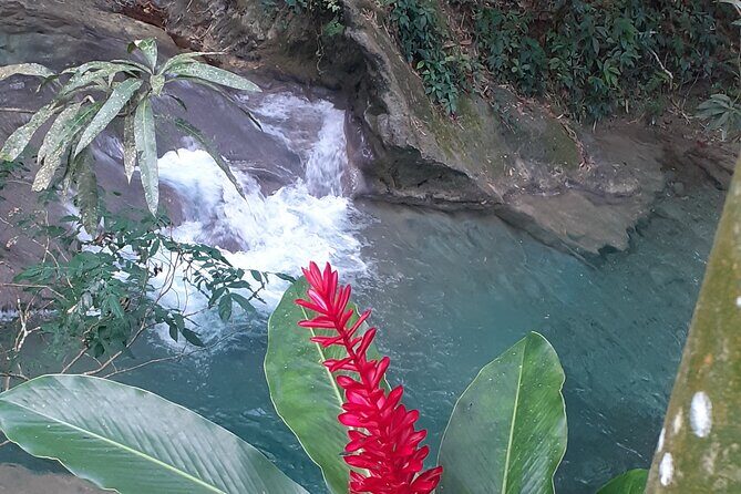 Mayfield Falls nature walk - What to expect from a 4 to 5 hour half-day