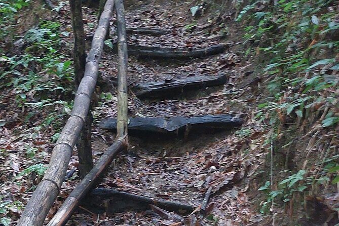 Mayfield Falls nature walk - Who this tour is best for