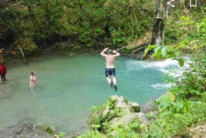 Mayfield Falls Tour with Lunch, drink, Entry & Transp(Original) - A water-walk day that feels personal, not chaotic