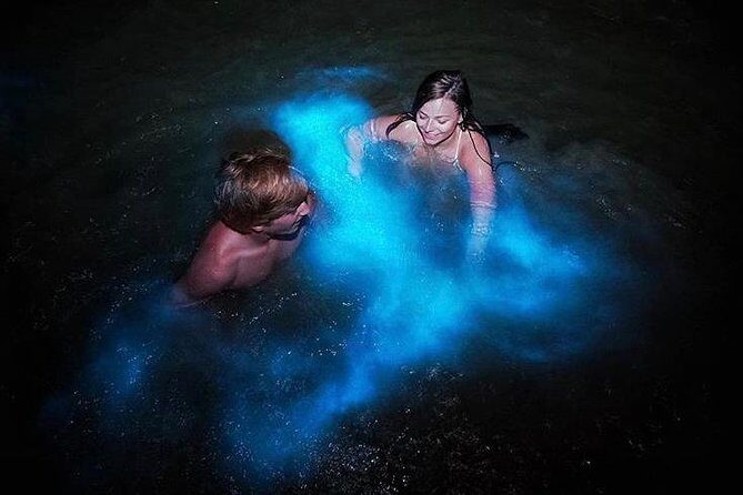 Mesmerizing Luminous Lagoon (Glistening Waters) Night Tour - Luminous Lagoon in Montego Bay: what makes it glow