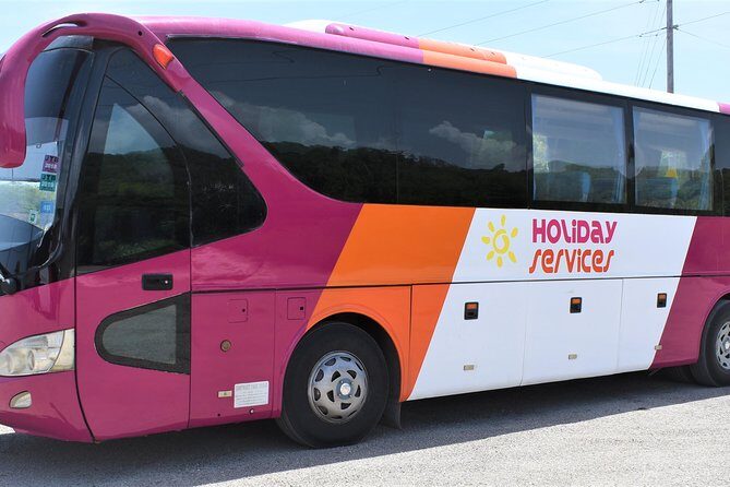 Montego Bay Airport (MBJ) Transfer One-Way or Round-Trip to Hotel - Driver Quality, Vehicle Notes, and the Human Side