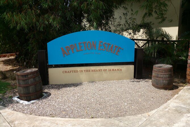 Montego Bay Airport Private Taxi Transfer To Negril Hotels - Safety and security: what the service says and what riders notice