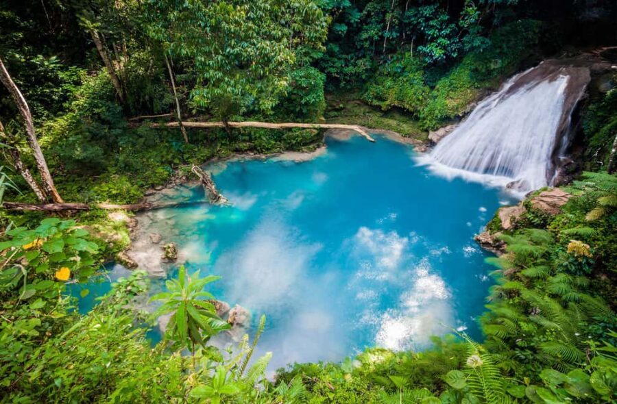 Montego Bay: Blue Hole, Dunn’s River, and Beach Club Trip - Key Highlights You’ll Actually Feel