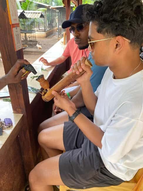 Montego Bay: Marijuana Farm and Bird Sanctuary Tour - What You’re Really Paying For: Transport, Guide, and Separate Entry Fees