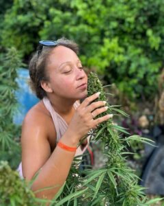 Montego Bay: Marijuana Farm and Bird Sanctuary Tour - Montego Bay Pickup: Fast Arrival, Private Car Comfort