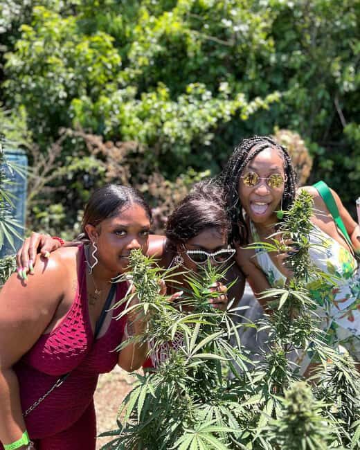 Montego Bay: Marijuana Farm and Bird Sanctuary Tour - The Herb Farm Nursery: Touch, Smell, and a Seed-to-Sale Explanation