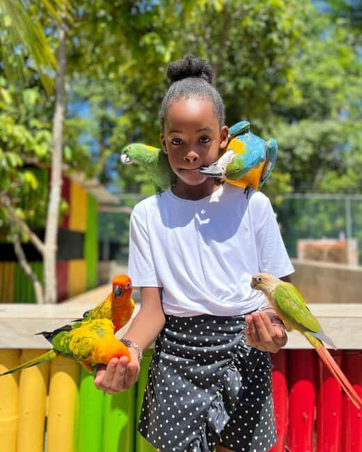Montego Bay: Marijuana Farm and Bird Sanctuary Tour - Trying the Weed Chalice Pipe: Curiosity Factor and Personal Comfort