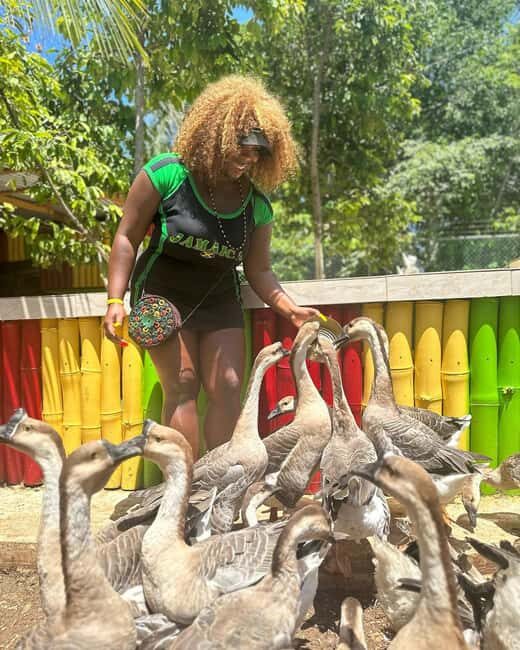 Montego Bay: Marijuana Farm and Bird Sanctuary Tour - Timing and the Food Stop: Plan for Snacks, Not a Full Meal
