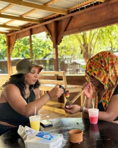 Montego Bay: Marijuana Farm Private Tour with Transportation - What you learn on the marijuana farm: culture, economics, and real cultivation